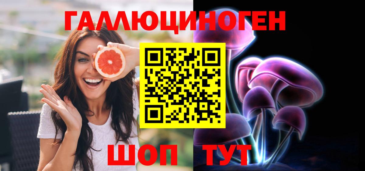 Галлюциногенные грибы MAGIC MUSHROOMS  Вход с VPN  Домодедово 